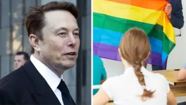 Elon Musk Declares: “Pride Flags Should Be Banned from Classrooms, Permanently!” — A Controversial Statement That Ignites Heated Debate Over Inclusivity in Education!  Click for the full story!